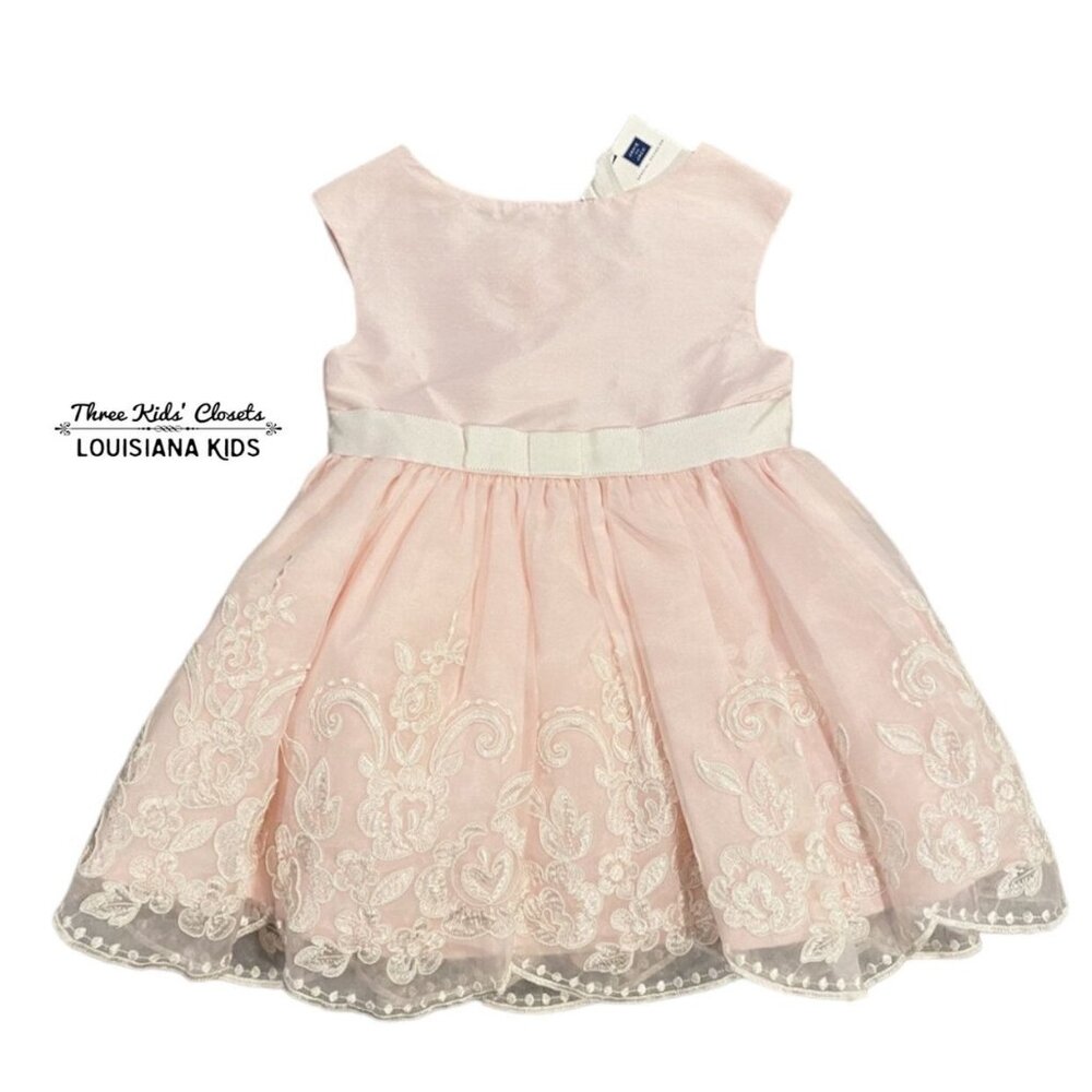 NEW Janie and Jack 6-12m Pink Silk Embroidered Special Occasion Dress